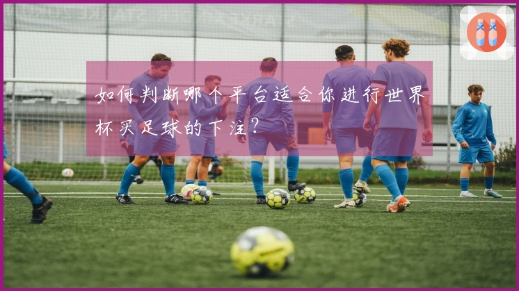 如何判断哪个平台适合你进行世界杯买足球的下注？