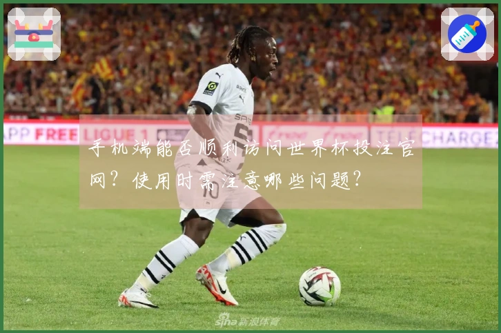 手机端能否顺利访问世界杯投注官网？使用时需注意哪些问题？