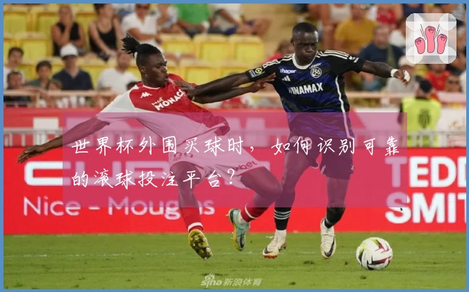 友博体育体育资讯图片